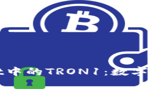 深入解读TPWallet中的TRON1：数字资产管理的新选择