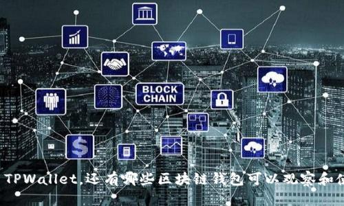 除了TPWallet，还有哪些区块链钱包可以观察和使用？