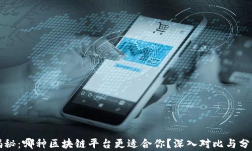 
揭秘：哪种区块链平台更适合你？深入对比与分析