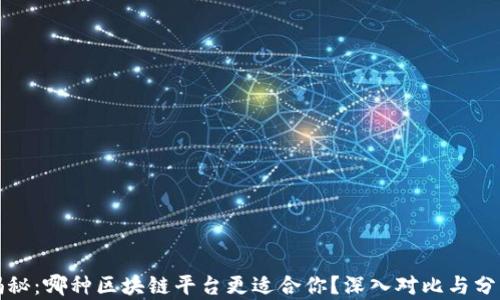 
揭秘：哪种区块链平台更适合你？深入对比与分析