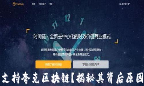 
tpwallet不支持夸克区块链？揭秘其背后原因与未来展望