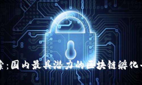 前沿探索：国内最具潜力的区块链孵化平台公司