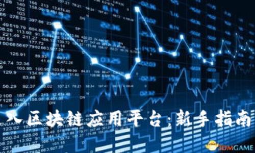如何高效进入区块链应用平台：新手指南与最佳实践