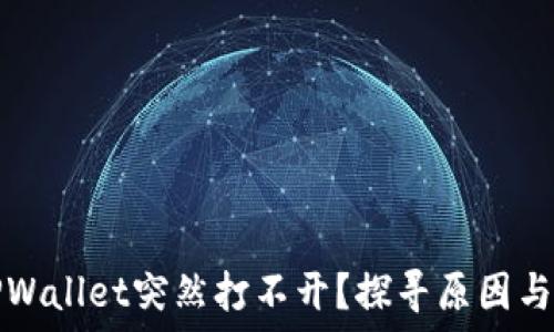   
为什么TPWallet突然打不开？探寻原因与解决方案