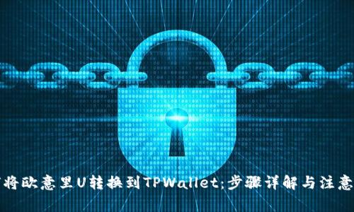 如何将欧意里U转换到TPWallet：步骤详解与注意事项