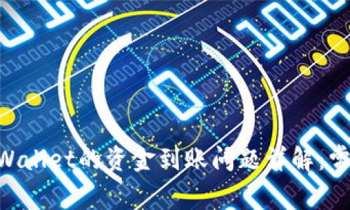 币安交易所与TP Wallet的资金到账问题详解：常见原因及解决方案