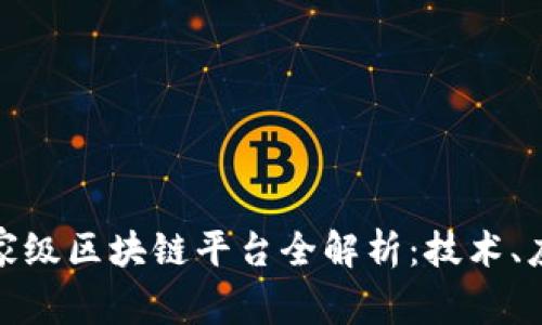 全球领先的国家级区块链平台全解析：技术、应用与未来趋势