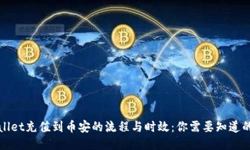 TPWallet充值到币安的流程与时效：你需要知道的一切