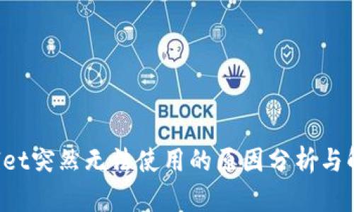 TP Wallet突然无法使用的原因分析与解决方案