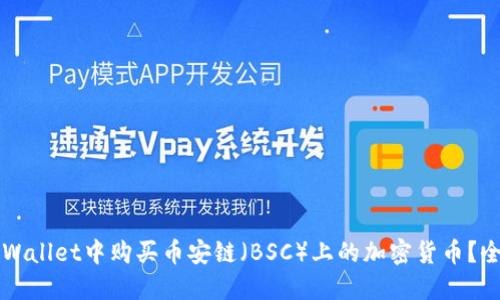 如何在TPWallet中购买币安链（BSC）上的加密货币？全方位指南