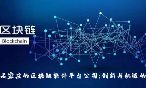 探索石家庄的区块链软件平台公司：创新与机遇的结合