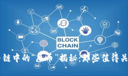 TPWallet货币链中的“屎币”揭秘：那些值得关注的数字货币