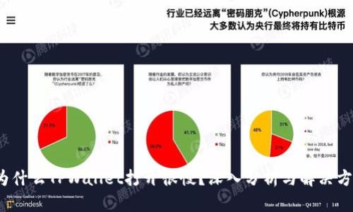 为什么TPWallet打开很慢？深入分析与解决方案