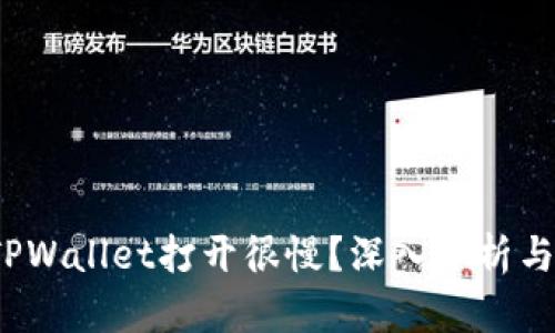  为什么TPWallet打开很慢？深入分析与解决方案