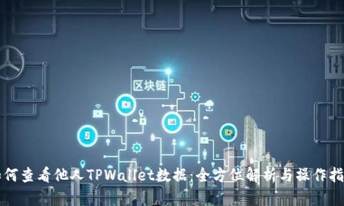 如何查看他人TPWallet数据：全方位解析与操作指南