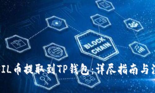 如何将FIL币提取到TP钱包：详尽指南与注意事项