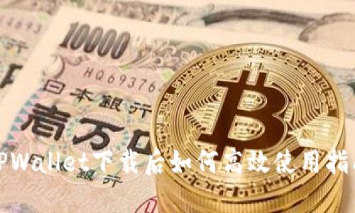 TPWallet下载后如何高效使用指南