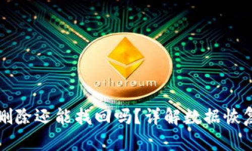 TPWallet被删除还能找回吗？详解数据恢复与安全措施