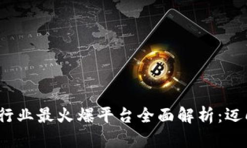 2019年区块链行业最火爆平台全面解析：迈向数字化的未来