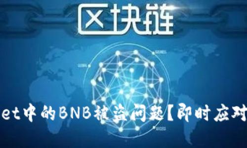 如何应对TPWallet中的BNB被盗问题？即时应对措施与预防建议
