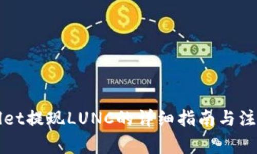 TPWallet提现LUNC的详细指南与注意事项