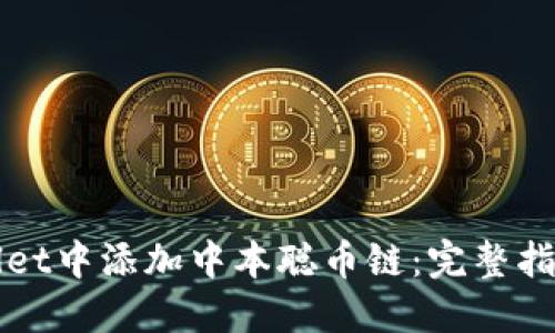 如何在TPWallet中添加中本聪币链：完整指南与最新热潮