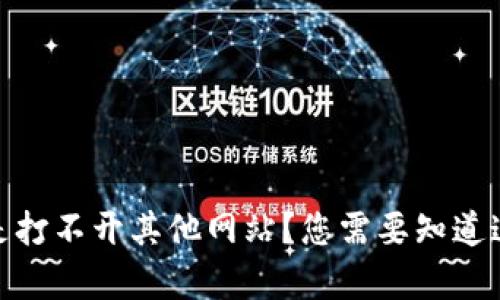 biasitpwallet老是打不开其他网站？您需要知道这些关键解决方案！