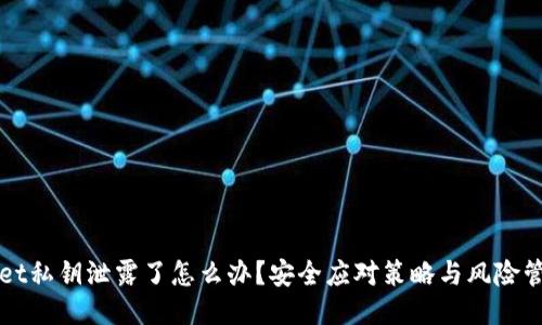 TPWallet私钥泄露了怎么办？安全应对策略与风险管理指南
