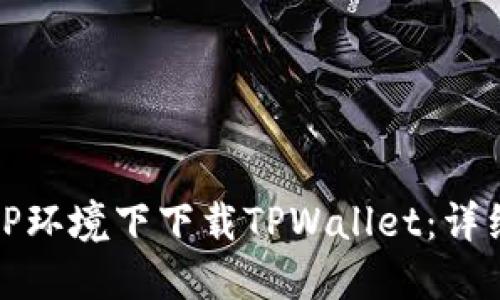 如何在境外IP环境下下载TPWallet：详细步骤与指南