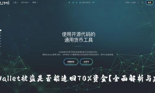 TPWallet被盗是否能追回70%资金？全面解析与建议