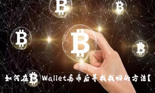 如何在TP Wallet丢币后寻找找回的方法？