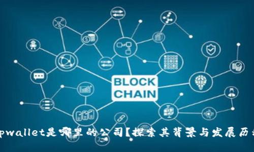 tpwallet是哪里的公司？探索其背景与发展历程