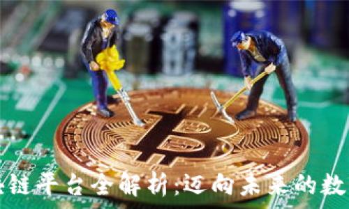  
福州区块链平台全解析：迈向未来的数字新纪元