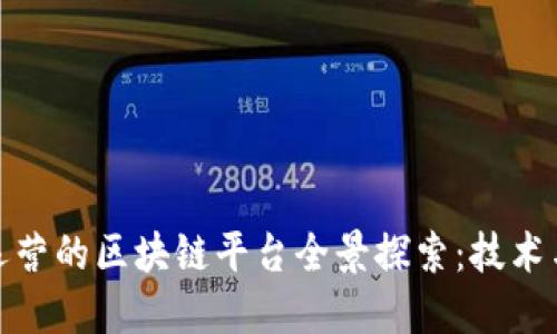 : 我国开发运营的区块链平台全景探索：技术与未来的交汇