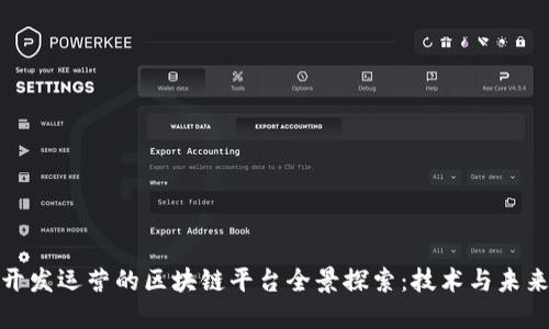 : 我国开发运营的区块链平台全景探索：技术与未来的交汇