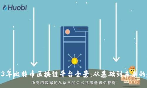 2023年比特币区块链平台全景：从基础到未来的趋势