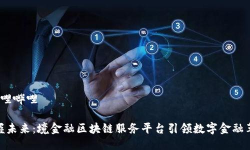  哔哩哔哩 

掌握未来：境金融区块链服务平台引领数字金融革命