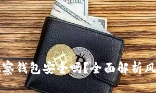 TPWallet观察钱包安全吗？全面解析风险与安全性