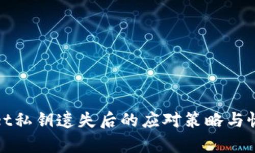 tpwallet私钥遗失后的应对策略与恢复指南
