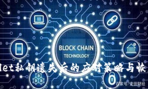 tpwallet私钥遗失后的应对策略与恢复指南