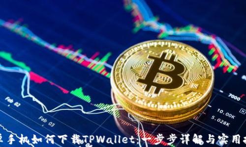 
安卓手机如何下载TPWallet：一步步详解与实用技巧