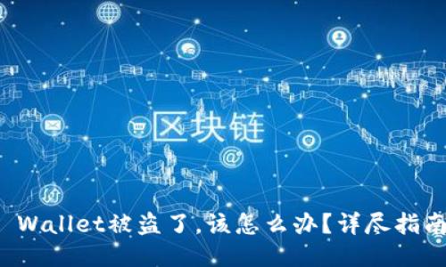 如果你的TP Wallet被盗了，该怎么办？详尽指南与应对策略