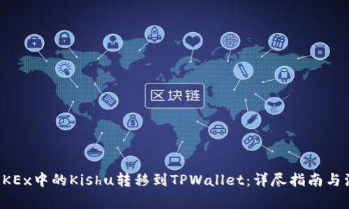 如何将OKEx中的Kishu转移到TPWallet：详尽指南与注意事项