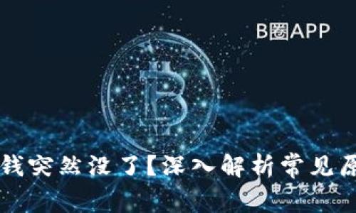 TPWallet里的钱突然没了？深入解析常见原因与解决方案