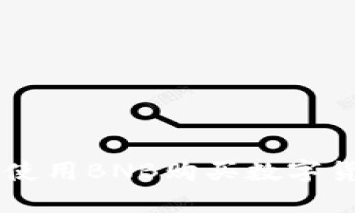 在TPWallet中使用BNB购买数字货币的详解指南