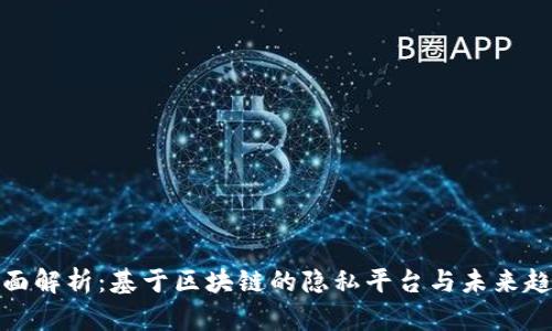全面解析：基于区块链的隐私平台与未来趋势