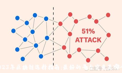   
2023年区块链选择指南：最好的平台究竟是哪个？