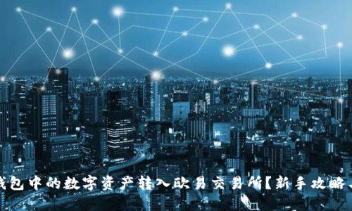 如何将TP钱包中的数字资产转入欧易交易所？新手攻略与操作步骤