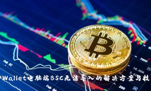 TPWallet电脑端BSC无法导入的解决方案与技巧