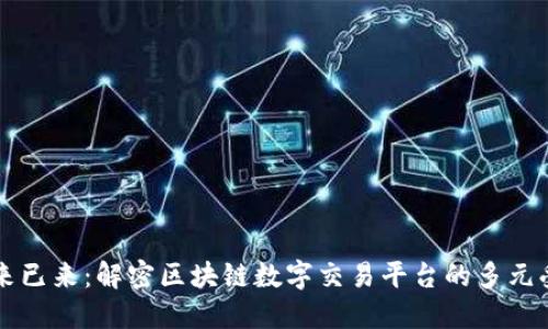 未来已来：解密区块链数字交易平台的多元受众
